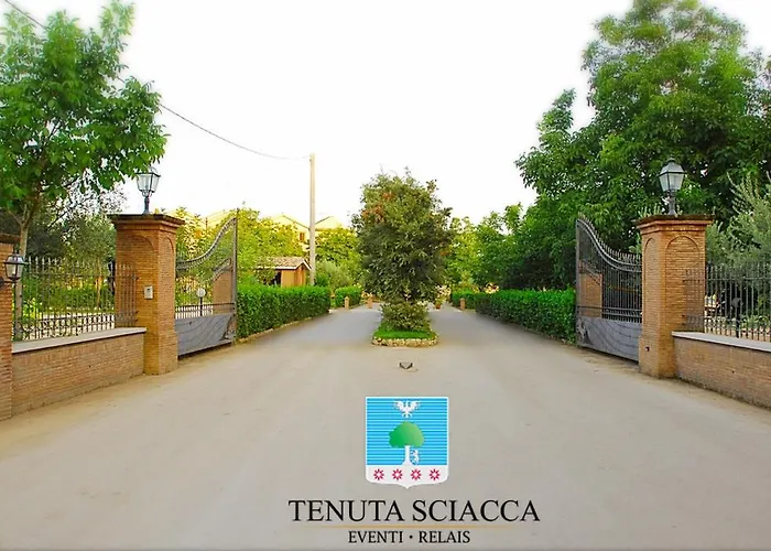 Tenuta Sciacca Falciano del Massico