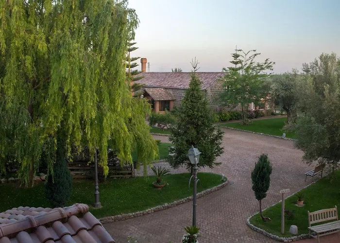 Tenuta Sciacca Falciano del Massico